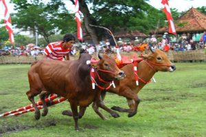 Tujuh Olah Raga Trdisional Indonesia, Unik dan Seru!