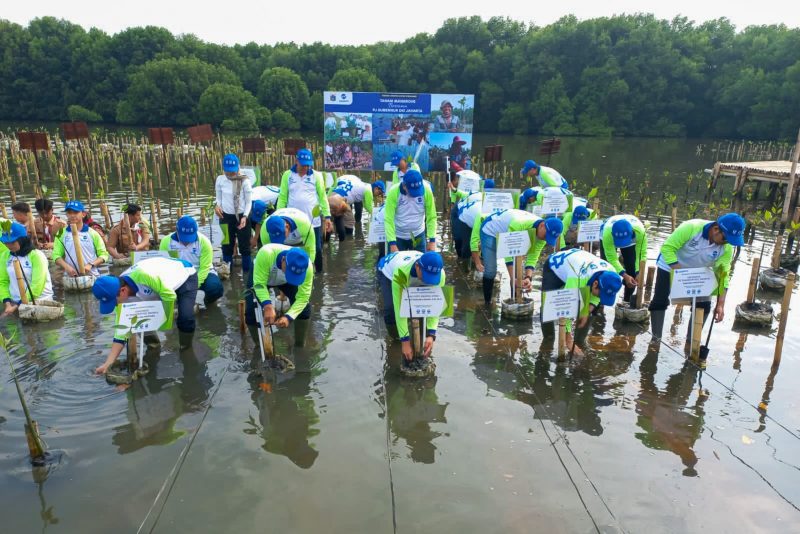 Seratus Pohon Mangruve Ditanam di Taman Wisata Alam Angke Kapuk