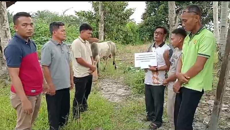 Momen Menyambut Hari Raya Idul Adha 1445 H, Pemerintah Desa Tasik Serai Menyerahkan 1 Hewan Qurban di Masjid Nurul Huda