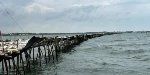 Bareskrim Polri Telah Menetapkan 4 Tersangka Kasus Pagar Laut, Diantaranya ada 2 Oknum Wartawan